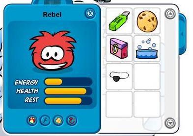 my-puffle-is-a-pirate.jpg